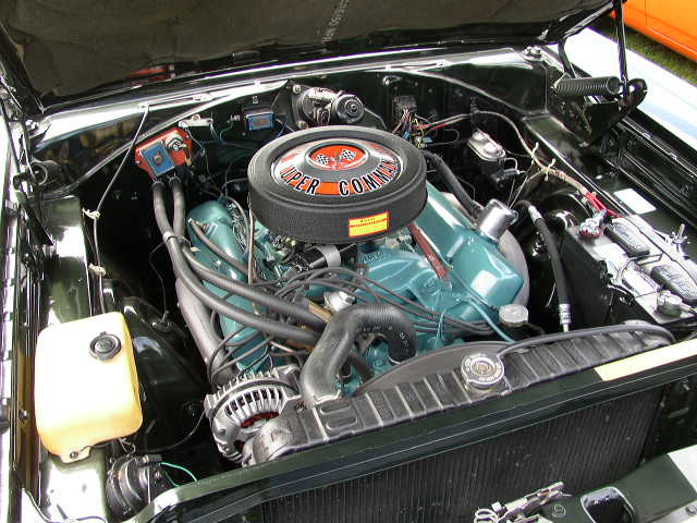 P1010134.JPG